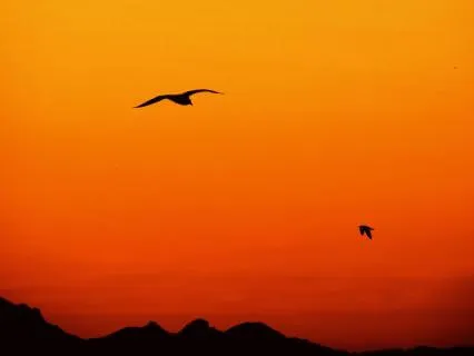 10 Hr Sacral Chakra Energy Healing While You Sleep