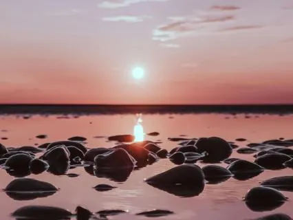 110 Hz Deep Relaxation And Focus | Grounding Frequency