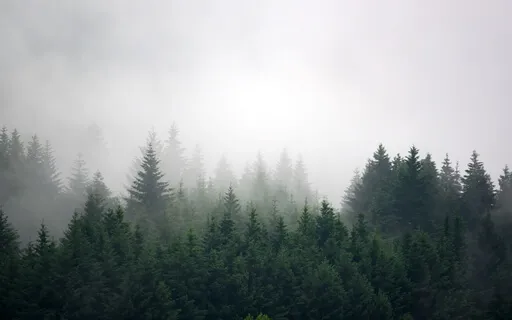 10-ish Minute Breath Meditation