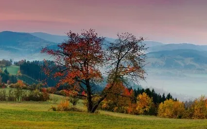 10 Letting Go Of Anger - Taking Responsibility