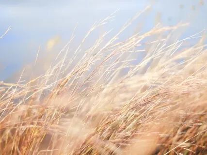 10-Minute Awareness Of Breath For First Responders