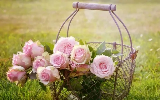 10 Meditation Tips For Absolute Beginners