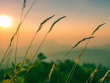 10-Min 5 Senses Meditation For Anxiety And Grounding