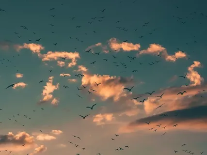 10-Minute Breath Awareness