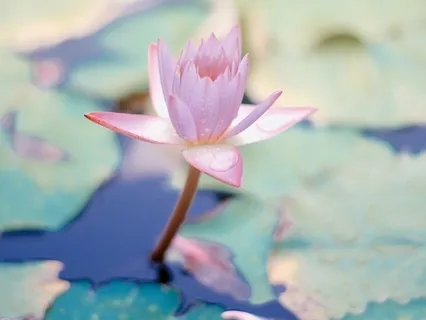 Awareness Of Breathing