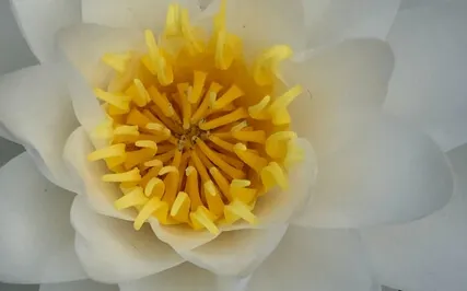 10 Min Explore Your Senses (See, Hear And Feel)