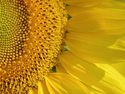 10 Minutes For Your Heart | #02 | Today We Expand