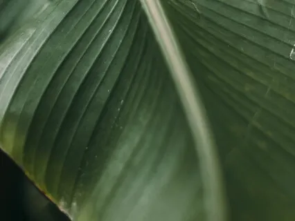 10-Min Gratitude Meditation