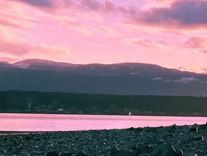 10-Min Heart Chakra Reiki Healing Meditation