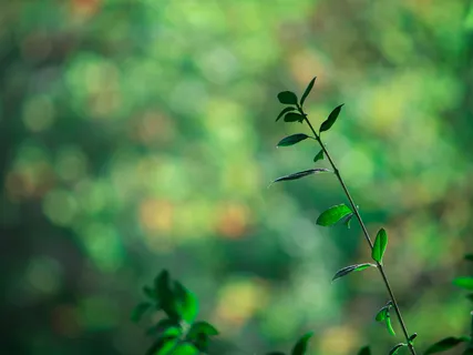 10 Minute Highly Guided Sitting Practice With Maria