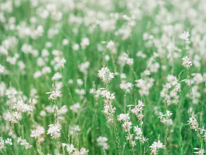 Ideal Self - Best Possible Self-Visualization To Elicit Relaxation Response