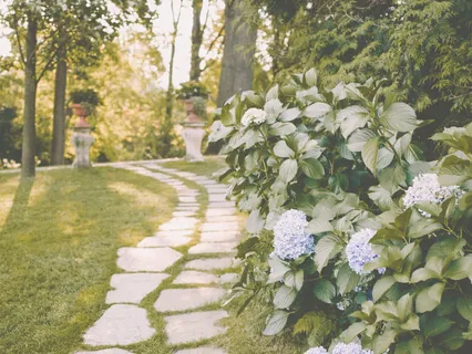 10 Min Mindful Walking