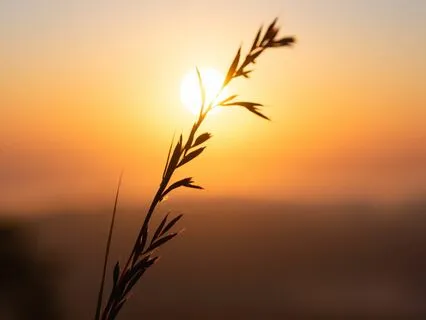 10-Minute Minimally-Guided Meditation