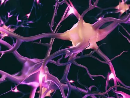 [10-Min NSDR] Listening To The Wisdom Of Your Nervous System