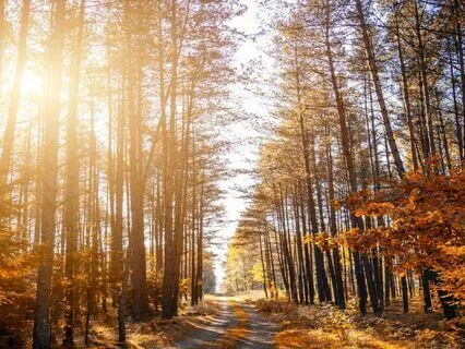 Release Stress, Recenter, And Get In Flow