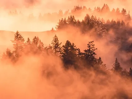 Sounds Awareness Meditation - Led By Jacob Aqua