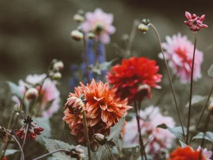 10 Minute Breath Meditation For Beginners