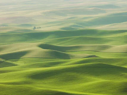 Breathing In Success