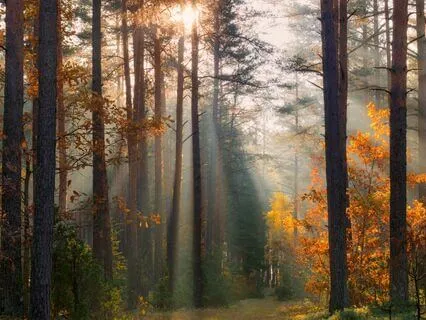 10-Minute Calming Breath Meditation To Soothe Anxiety