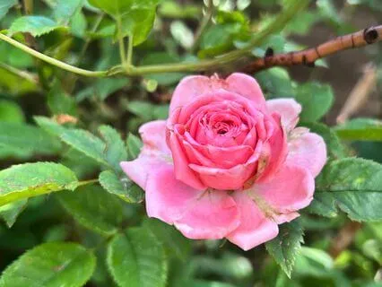 10 Minute Chakra Clearing Meditation