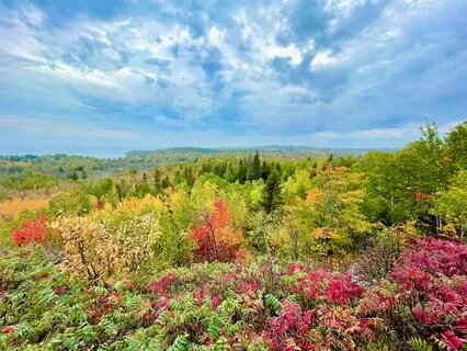 10 Minute Compassionate Connection + Body Scan