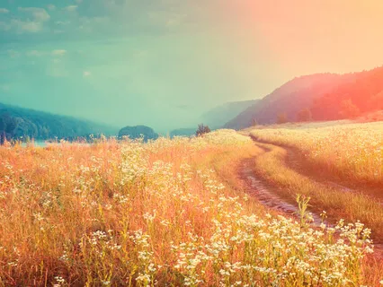 10-Minute COVID-19 Gratitude Practice