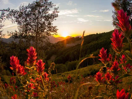 10-Minute Daily Meditation