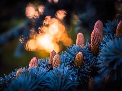 10 Minute Daily Mindfulness Practice