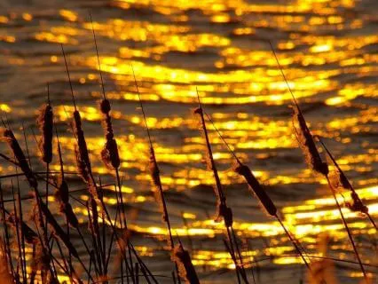 10 Minute Energy Pull For Business Owners