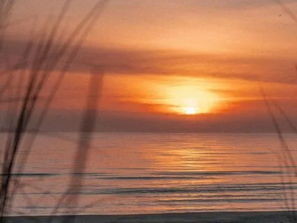 10-Minute Evening Meditation For Grounding & Better Sleep