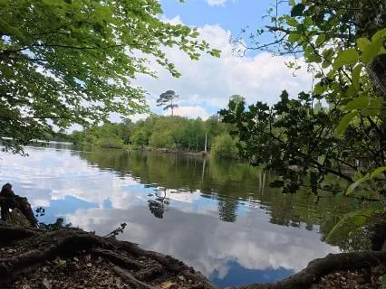 10 Minute Flute Music By The Lake | Unguided Meditation