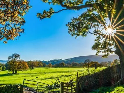 10 Minute Good Morning Yoga Nidra