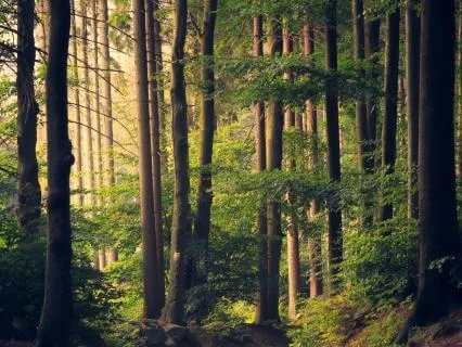 10-Minute Gratitude Meditation For A Peaceful Evening