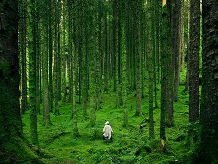 10 Minute Grounding Meditation