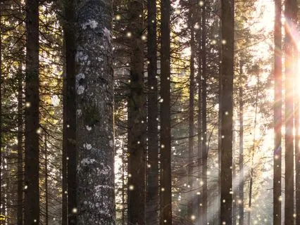 10 Minute Grounding Moring Meditation