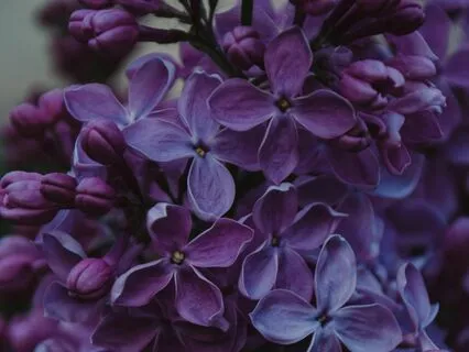 10 Minute Guided Diaphragmatic Breathing