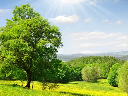 10-Minute Guided Practice & Visualization For Positive Thoughts And Feelings