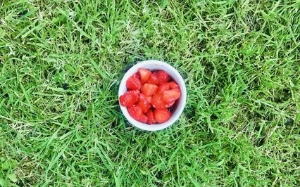 10 Minute Guided Meditation / Storytelling "I Choose To..."