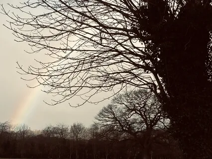 10-Minute Guided Pause Meditation: Clouds In The Water