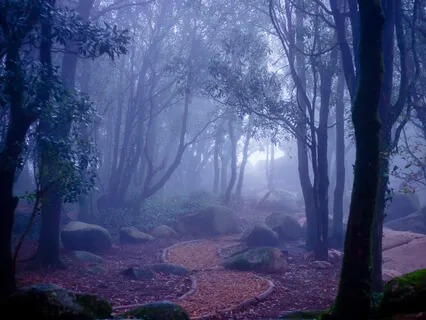 10-Minute Introduction To Restful Sleep