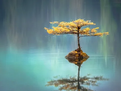 10 Minute Letting Go Meditation