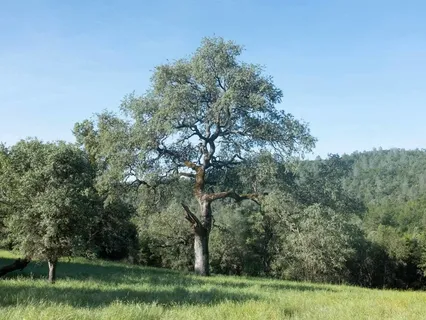 10-Minute Loving Kindness Practice For Safety & Happiness