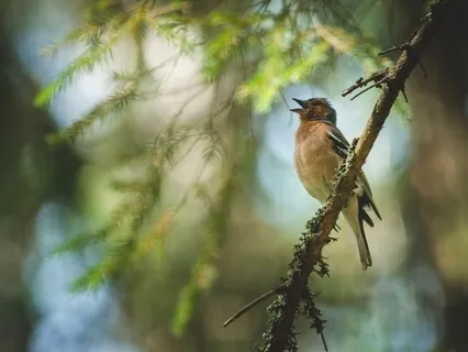 10-Minute Meditation: 10 Second Breath - Inhale 10, Hold 10, Exhale 10
