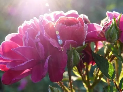 10 Minute Practice - 40 Days To Personal Revolution 