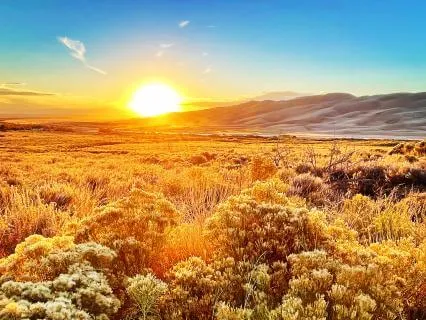 10 Minute Meditation:  Earth's Gifts Of Grounding