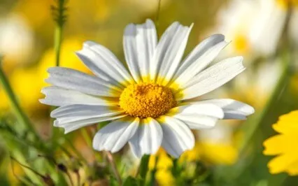 10-Minute Meditation For Anxiety