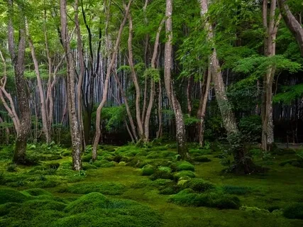 10-Minute Meditation For Beginners (Julius)