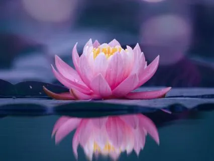 10 Minute Meditation For Burnout Recovery & Exhaustion