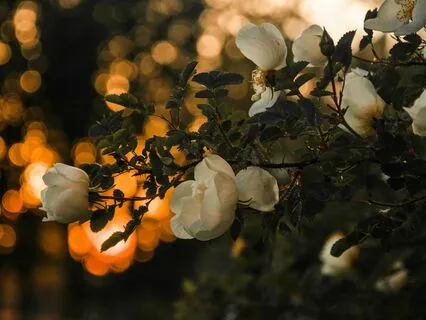 10 Minute Meditation For Dealing With Grief And Loss