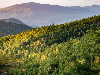 10-Minute Meditation For Falling Asleep